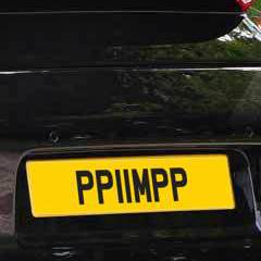 PP11MPP Plate for Sale
