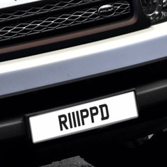 R111PPD Plate for Sale
